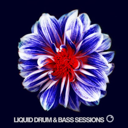 Liquid Drum & Bass Sessions 2019 Vol 6 album by Dreazz - Drum and Bass Cover Art