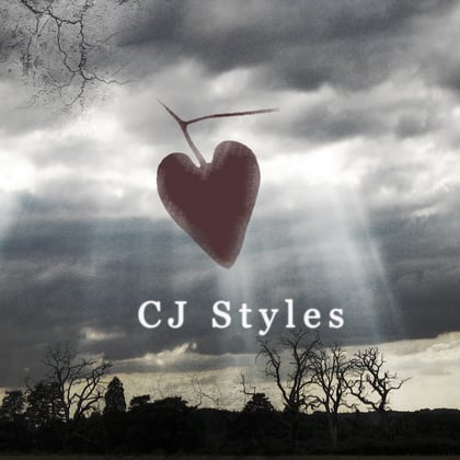 Lost Love album by CJ Styles - Drum and Bass Cover Art