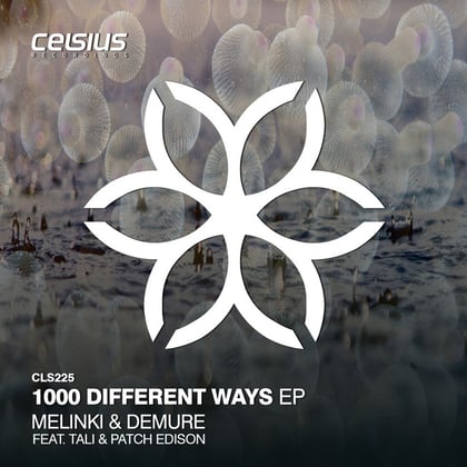 1000 Different Ways EP album by Melinki - Drum and Bass Cover Art