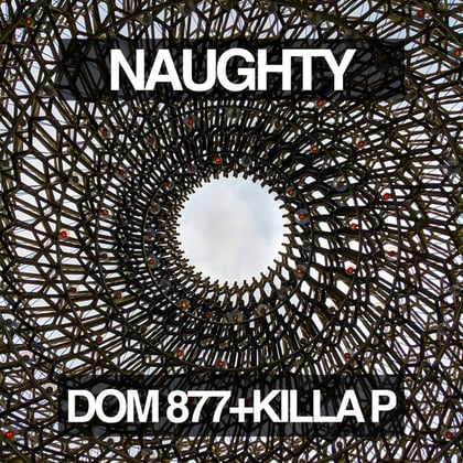Naughty album by Kasra & Dom 877 - Drum and Bass Cover Art