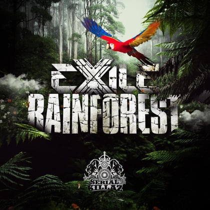 Rainforest EP album by AIRGLO & Exile - Drum and Bass Cover Art
