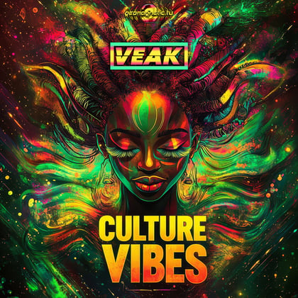 Culture Vibes album by Veak - Drum and Bass Cover Art