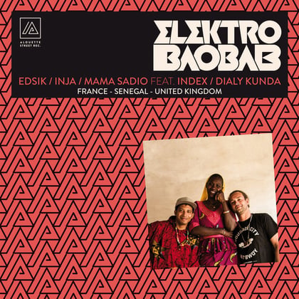 Elektro baobab (France - Senegal - United Kingdom) album by Inja, Edsik & Mama Sadio - Drum and Bass Cover Art