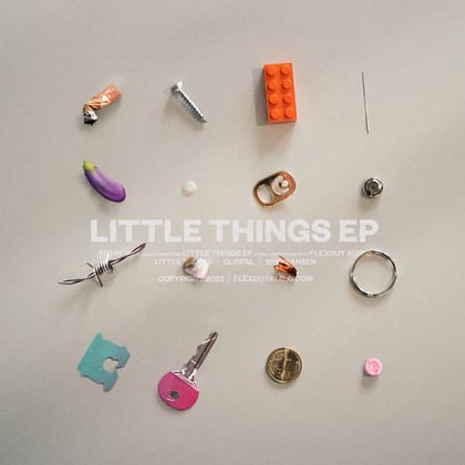 Little Things EP album by Fre4knc - Drum and Bass Cover Art