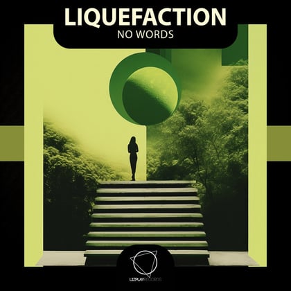No Words album by Liquefaction - Drum and Bass Cover Art