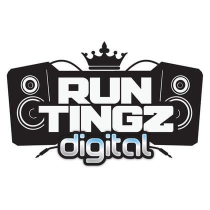 The Hustler Remixes album by Serial Killaz & Run Tingz Cru - Drum and Bass Cover Art