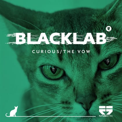 Curious / The Vow album by Blacklab - Drum and Bass Cover Art