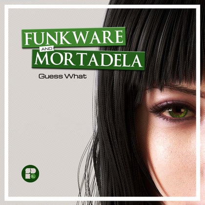 Guess What album by Funkware - Drum and Bass Cover Art