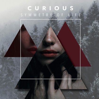 Symmetry of Life album by Curious - Drum and Bass Cover Art