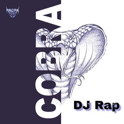 Cobra album by DJ Rap - Drum and Bass Cover Art