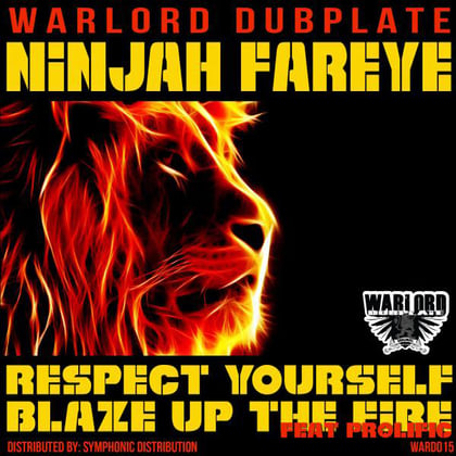 Respect Yourself album by Ninjah Fareye - Drum and Bass Cover Art