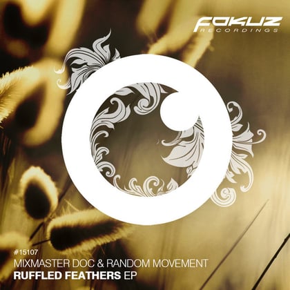 Ruffled Feathers EP album by Mixmaster Doc & Random Movement - Drum and Bass Cover Art