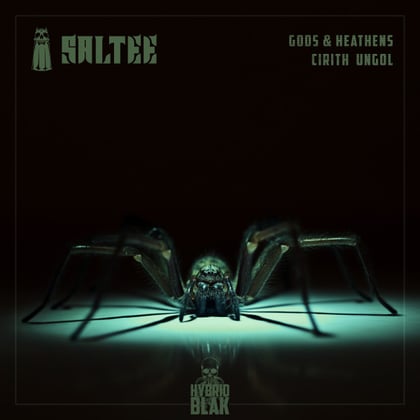Gods & Heathens / Cirith Ungol album by Saltee - Drum and Bass Cover Art