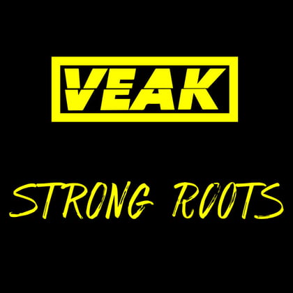 Strong Roots album by Salaryman & Veak - Drum and Bass Cover Art