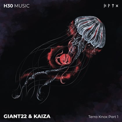 Terra Knox, Pt. 1 album by Kaiza - Drum and Bass Cover Art