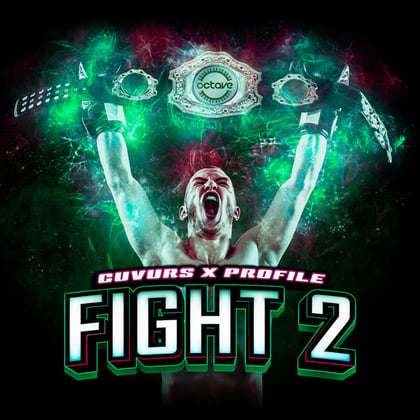 Fight 2 (VIP) album by Profile - Drum and Bass Cover Art