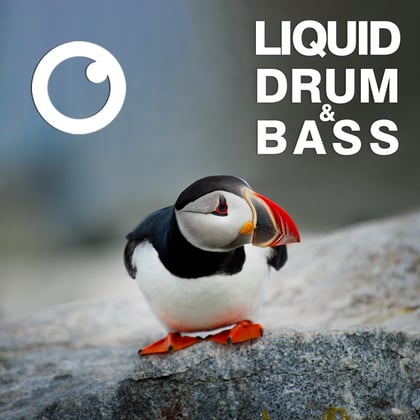 Liquid Drum & Bass Sessions #50 album by Dreazz - Drum and Bass Cover Art