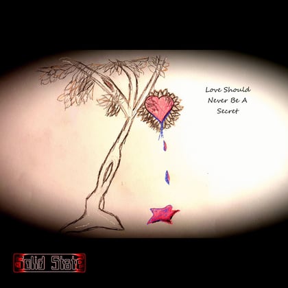 Love Should Never be a Secret album by Solid State - Drum and Bass Cover Art