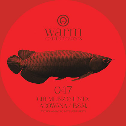 Arowana / BSM album by Gremlinz - Drum and Bass Cover Art