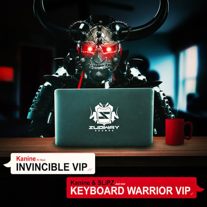 Invincible VIP / Keyboard Warrior VIP album by Kanine & Slipz - Drum and Bass Cover Art