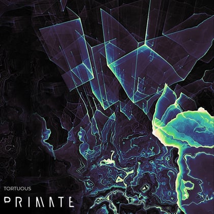 Tortuous album by Primate - Drum and Bass Cover Art