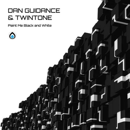 Paint Me Black And White album by Dan Guidance & Twintone - Drum and Bass Cover Art