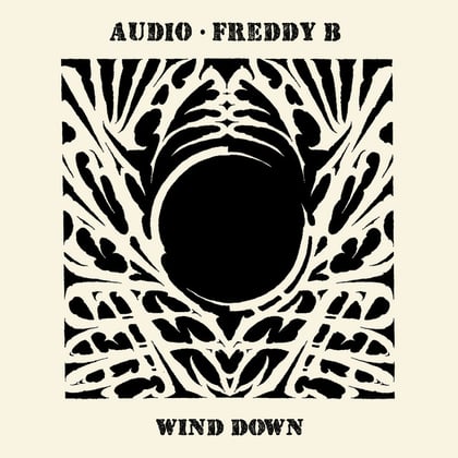 Wind Down album by Audio & Freddy B - Drum and Bass Cover Art