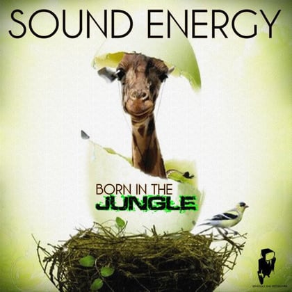 Born in the Jungle album by Sound Energy - Drum and Bass Cover Art
