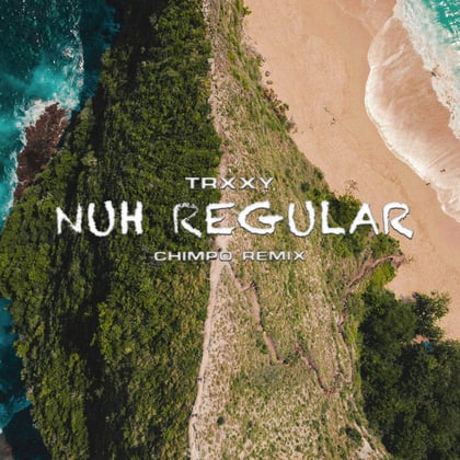 Nuh Regular (Chimpo Remix) album by Chimpo - Drum and Bass Cover Art