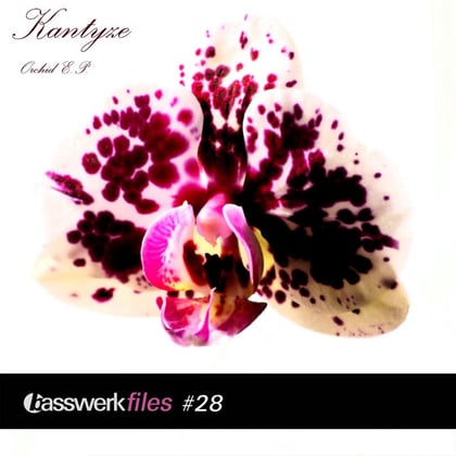 Basswerk Files #028 Orchid EP album by Kantyze - Drum and Bass Cover Art