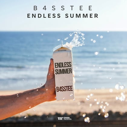 Endless Summer album by B4ssTee - Drum and Bass Cover Art