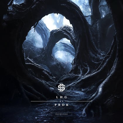 LHG album by Prdk - Drum and Bass Cover Art