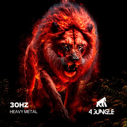 Heavy Metal album by 30Hz - Drum and Bass Cover Art