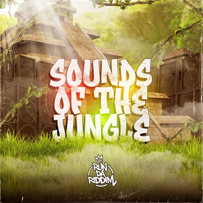 Sounds of the Jungle album by Euphonique - Drum and Bass Cover Art