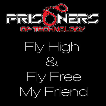 Fly High & Fly Free My Friend album by Prisoners Of Technology - Drum and Bass Cover Art