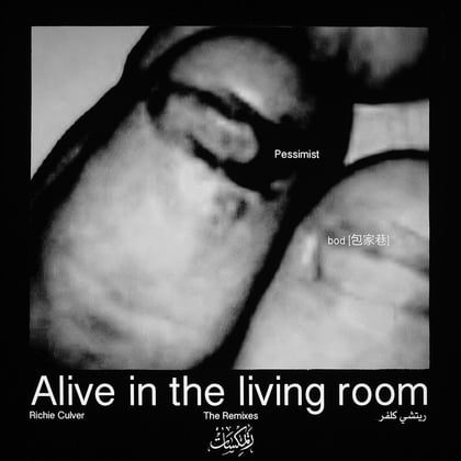Alive in the living room - The Remixes album by Pessimist - Drum and Bass Cover Art