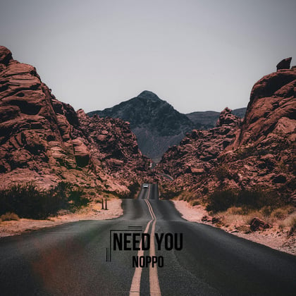 Need you album by Noppo - Drum and Bass Cover Art