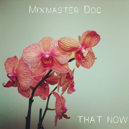 That Now album by Mixmaster Doc & Barasingha - Drum and Bass Cover Art