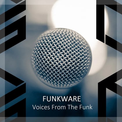 Voices From The Funk album by Funkware - Drum and Bass Cover Art