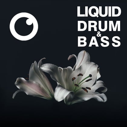 Liquid Drum & Bass Sessions #49 album by Dreazz - Drum and Bass Cover Art