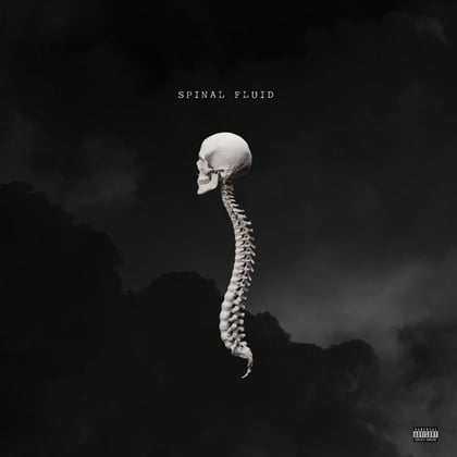 Spinal fluid album by Mr Traumatik & Coco Dubz - Drum and Bass Cover Art