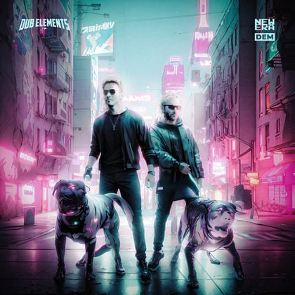 NEW ERA album by Dub Elements - Drum and Bass Cover Art