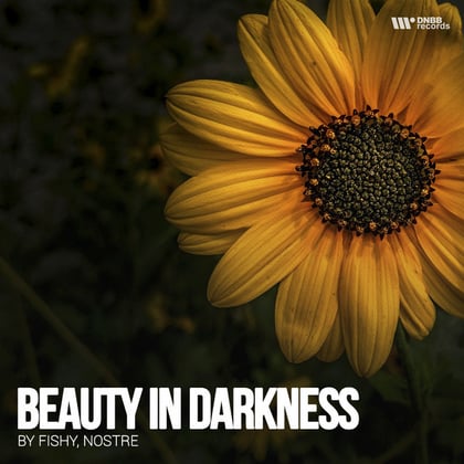 Beauty Darkness album by Nostre & Fishy - Drum and Bass Cover Art