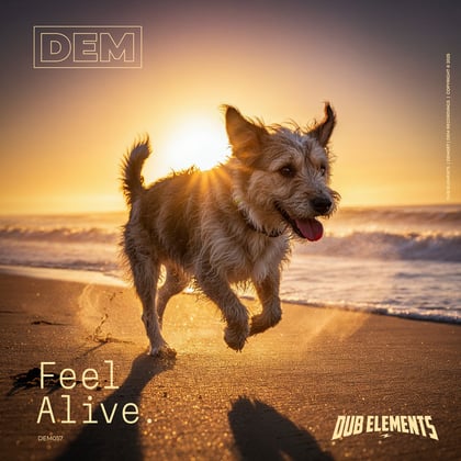 Feel Alive album by Dub Elements - Drum and Bass Cover Art