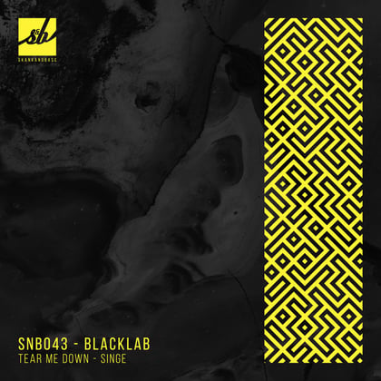 Tear Me Down / Singe album by Blacklab - Drum and Bass Cover Art