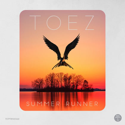 Summer Runner EP album by Toez & Mortem - Drum and Bass Cover Art
