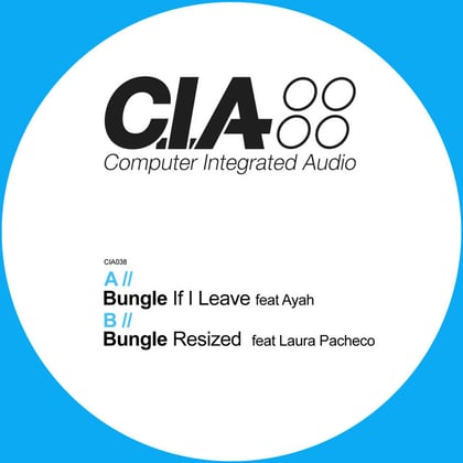 If I Leave / Resized (G Dub Remix) album by Bungle - Drum and Bass Cover Art