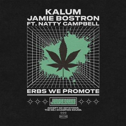 Erbs We Promote album by Jamie Bostron - Drum and Bass Cover Art