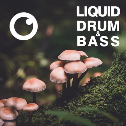 Liquid Drum & Bass Sessions 2020 Vol 31 : The Mix album by Dreazz - Drum and Bass Cover Art