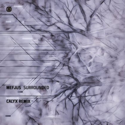 Surrounded (Calyx Remix) album by Mefjus & Calyx - Drum and Bass Cover Art
